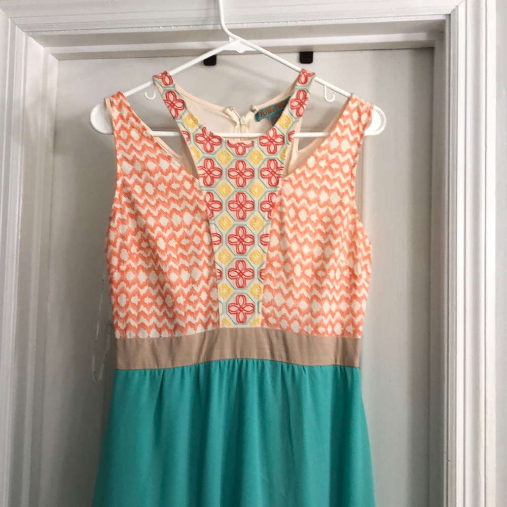 Flying Tomato Embroidered Maxi Dress